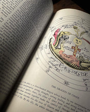 Load image into Gallery viewer, Codex Rosae Crucis D.O.M.A by Manly P. Hall