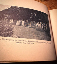 Load image into Gallery viewer, A Nosegay of Everlastings by Katherine Tingley