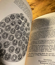 Load image into Gallery viewer, In the Pronaos of The Temple of Wisdom by Franz Hartmann