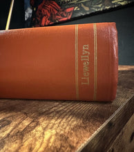 Load image into Gallery viewer, Encyclopedia of Medical Astrology by H.L. Cornell, M.D.