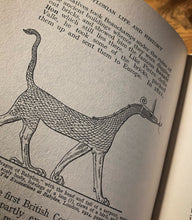 Load image into Gallery viewer, Babylonian Life and History 1925 by E.A. Wallis Budge