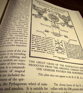 Codex Rosae Crucis D.O.M.A. by Manly P Hall