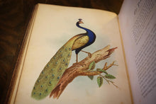 Load image into Gallery viewer, The Birds of the Bible by Henry Harbaugh