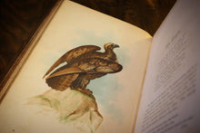 Load image into Gallery viewer, The Birds of the Bible by Henry Harbaugh