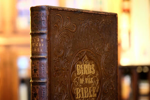 The Birds of the Bible by Henry Harbaugh