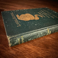 Load image into Gallery viewer, Lavius Egyptus by Thomas Sawyer Spivey (Copy)