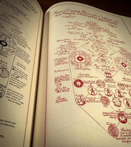 Codex Rosae Crucis D.O.M.A. by Manly P Hall