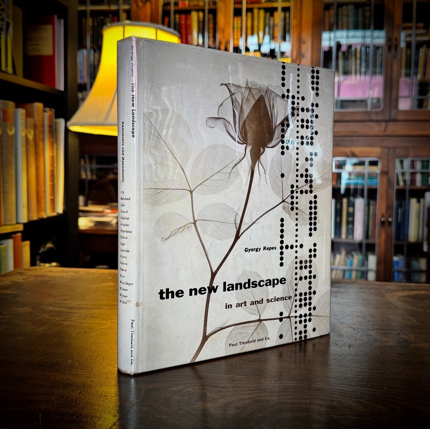 The New Landscape in Art and Science by Gyorgy Kepes