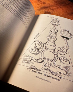 The Alchemical Mandala by Adam Mclean