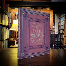 Load image into Gallery viewer, William Blake’s Illustrations of the Book of Job by Charles Eliot Norton