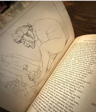 Load image into Gallery viewer, The Odyssey of Homer (translated by Alexander Pope)