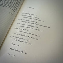 Load image into Gallery viewer, Comic Relief Nietzche's Gay Science by Kathleen Marie Higgins