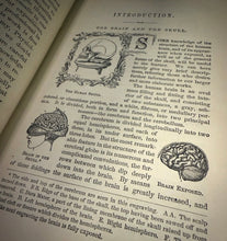 Load image into Gallery viewer, How to Read Character Physiology Prenology by Samuel Robert Wells