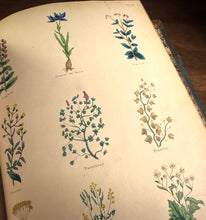 Load image into Gallery viewer, Culpepper's Complete Herbal by Nicholas Culpepper