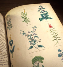 Load image into Gallery viewer, Culpepper's Complete Herbal by Nicholas Culpepper