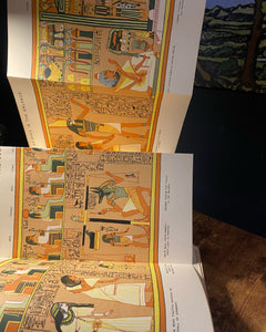 The Gods of the Egyptians by E.A. Wallis Budge [1904 First Edition] RARE Color Plates