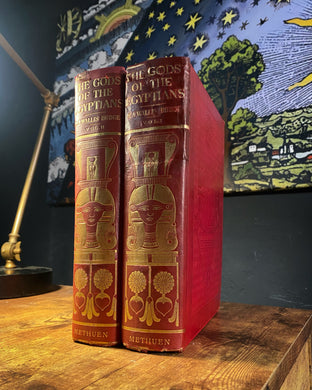 The Gods of the Egyptians by E.A. Wallis Budge [1904 First Edition] RARE Color Plates